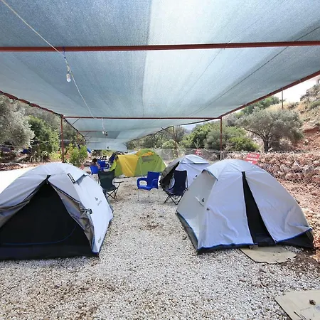 סטודיו דירות בגודל 300 מר עם 7 חדרי רחצה פרטיים בBayindir