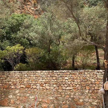 Alojamento de Turismo Selvagem Gizli Vadi *